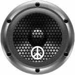 Mitya fm
